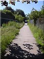 Footpath to Healey Wood