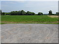 Fields By Preston Marsh Village Hall