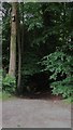 Tree house where byway leaves Hewshott Lane