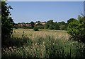 SX8772 : Hackney Marshes by Derek Harper