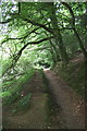 Footpath south of Helford