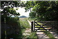 Footpath near Kestle