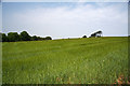 SW7426 : Field near Helford River by Graham Loveland