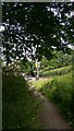 Bridleway emerges onto Portsmouth Road at Liphook