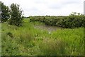 Pond by Ridley trig point