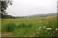 Fields near Marcle Hill