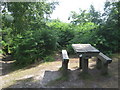 Picnic Bench in Perry Wood