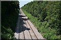 The Joint Line near Gainsborough Lea Road