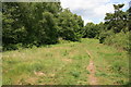 The edge of Pirbright Common