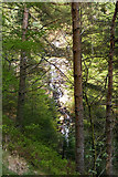 SH7958 : Cascade in the Aberllyn Gorge by Phil Champion