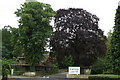 Entrance to The Hayes Conference Centre, Swanwick