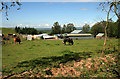 Farm buildings near The Hass