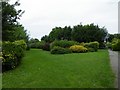 Garden at Timworth Close