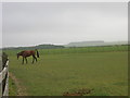 Farmland, Garton Slack