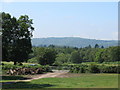 View across country lane to Welchs Common and the hill at Glatting Beacon