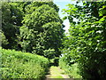 Footpath north of Coates Castle