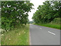 B1251 Towards Sledmere