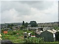 Allotments - Waterloo Road