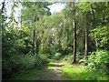 Oxhey Woods Local Nature Reserve