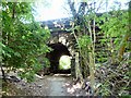 Footpath to Church Meadow