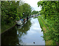 Shropshire Union Canal north of Wheaton Aston, Staffordshire