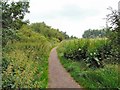 Highfield Country Park