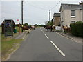 East End, ponies