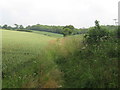 Bridleway to Stalisfield Green