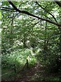 Hermitage Rocks Wood