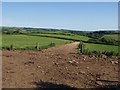 Track across farmland near North Huish