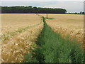 Footpath to Almshouse Cottages