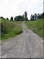 Footpath To Burghill