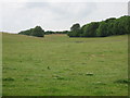 Valley View to Squids Gate Farm