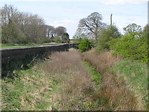 NZ0268 : The north defensive ditch of Hadrian's Wall east of Halton Shields (2) by Mike Quinn
