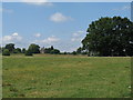 Duncton Church viewed from pastures at Burton Park