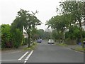 Armitage Avenue - viewed from Archbell Avenue