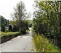 Footpath by Shire Brook