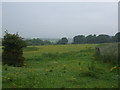 Grazing land near Wyre Hall Farm