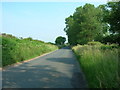 Minor Road Towards Sherburn