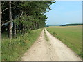 Bridleway near Sherburn