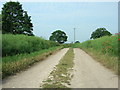 Bridleway near Sherburn