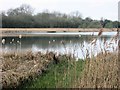 Looking  West from the New Hide, Weston Turville Reservoir