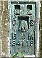 Bench mark on the triangulation pillar, Ned Lane Tong