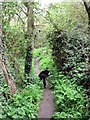 The footpath on the south west side, Weston Turville Reservoir