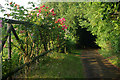 Path to the church, Lolworth