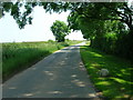 Minor Road Towards Kilham West Field