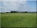 Farmland and Hope Hall Farm