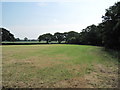 Farmland near Hope