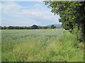 Farmland near Hope