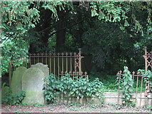 TG3500 : St Michael's church - churchyard by Evelyn Simak